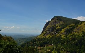 Ella Ridge View